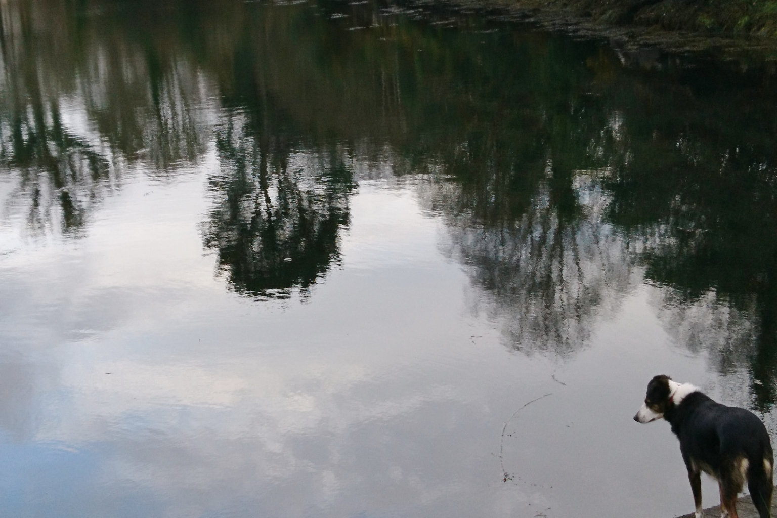 Peace in the relationship with yourself - kinesiology session